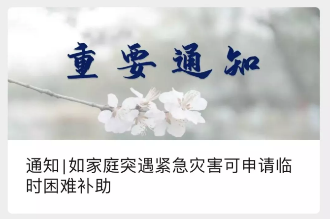 @河南学子：风里雨里，你的大学挺你！