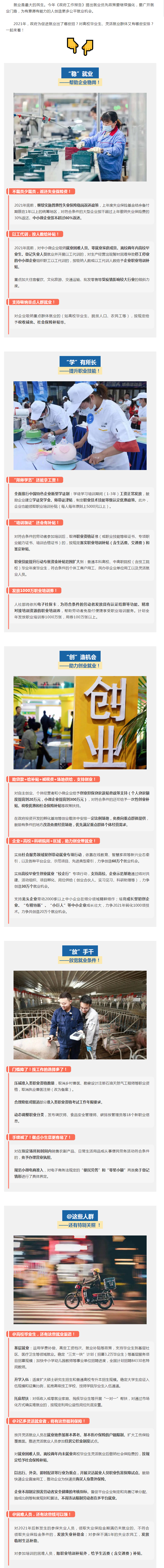 定了！2021年有哪些稳就业举措？答案在这里